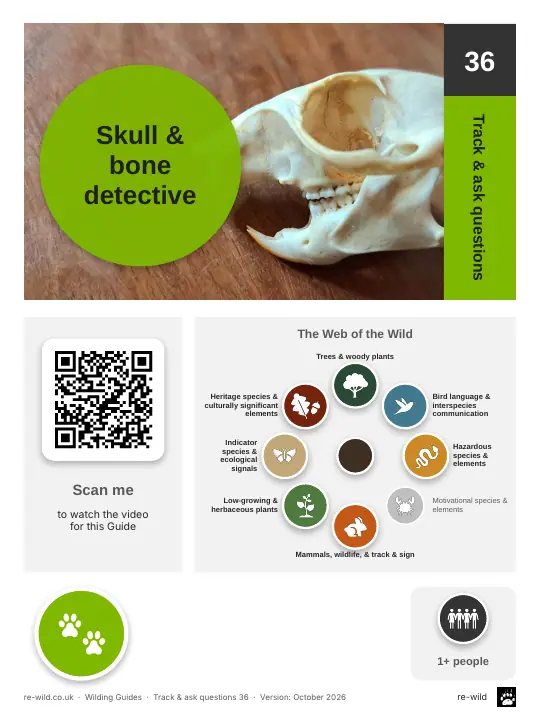 Front of the Skull & bone detective activity guide