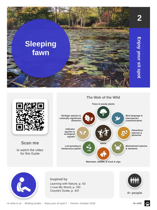 Front of the Sleeping fawn activity guide