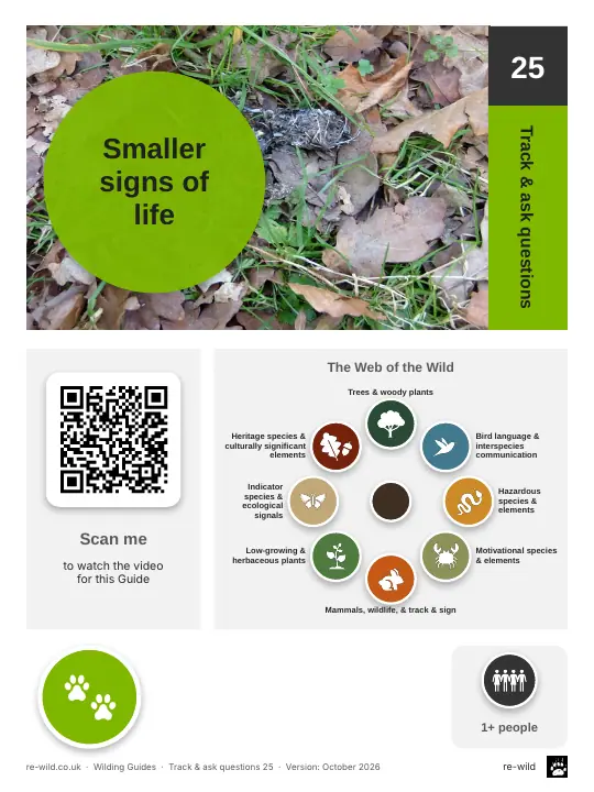 Front of the Smaller signs of life activity guide