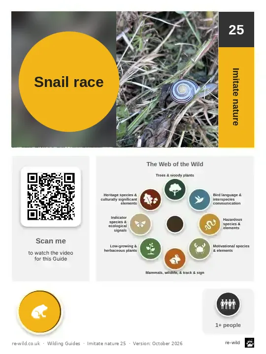 Front of the Snail race activity guide