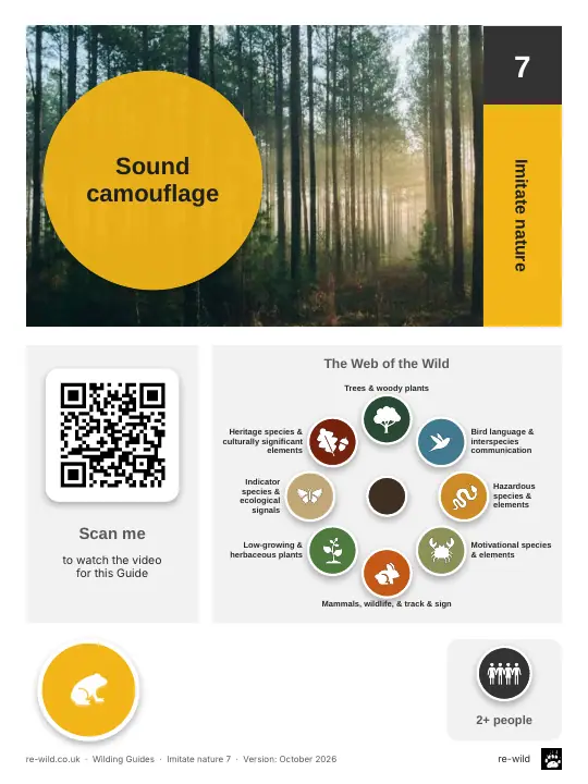 Front of the Sound camouflage activity guide