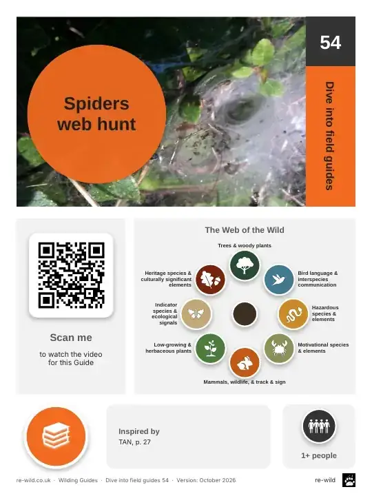 Front of the Spiders web hunt activity guide