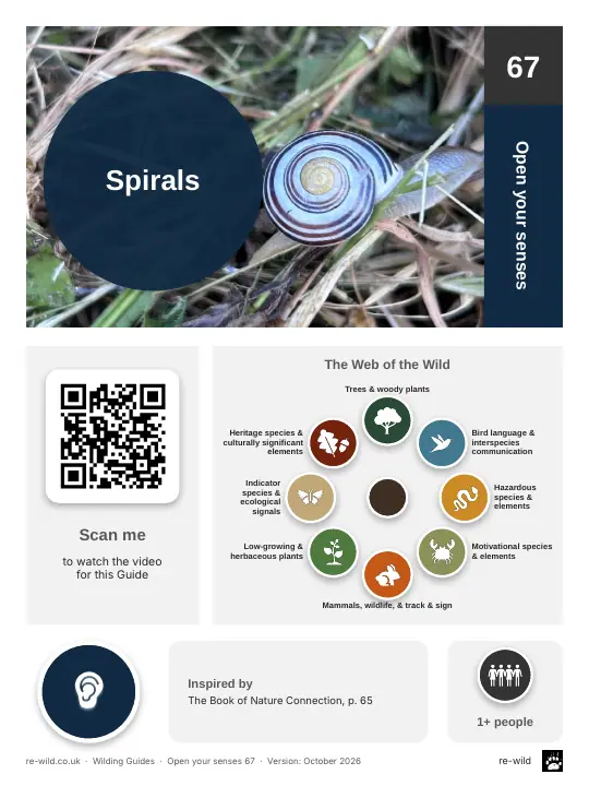 Front of the Spirals activity guide