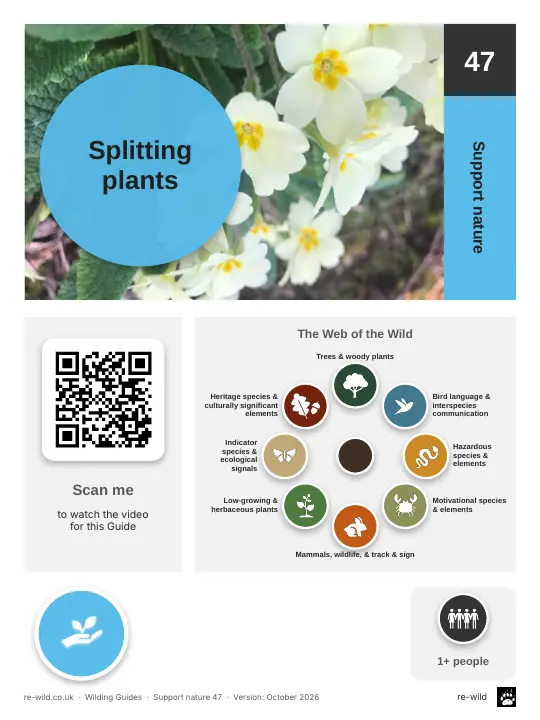 Front of the Splitting plants activity guide