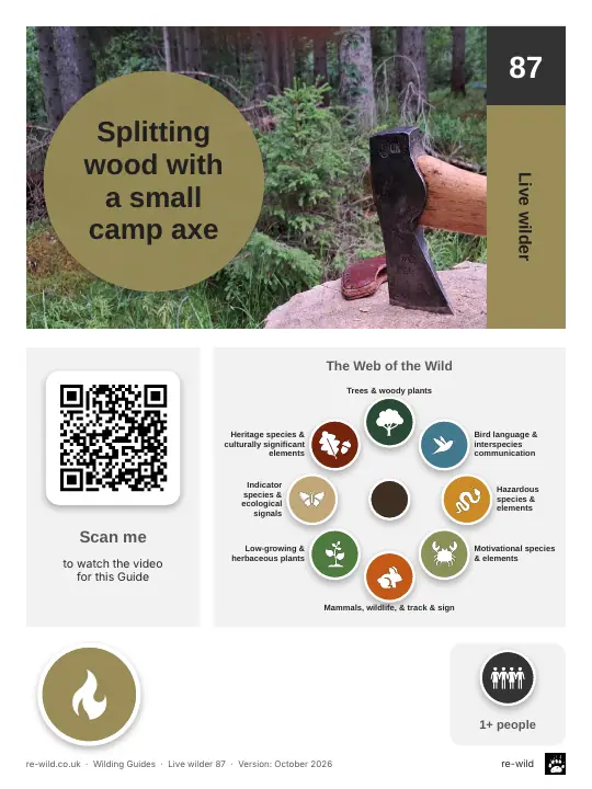 Front of the Splitting wood with a small camp axe activity guide