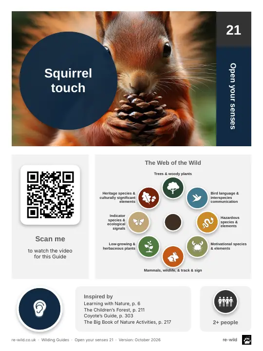 Front of the Squirrel touch activity guide