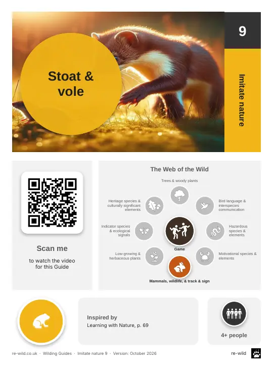 Front of the Stoat & vole activity guide