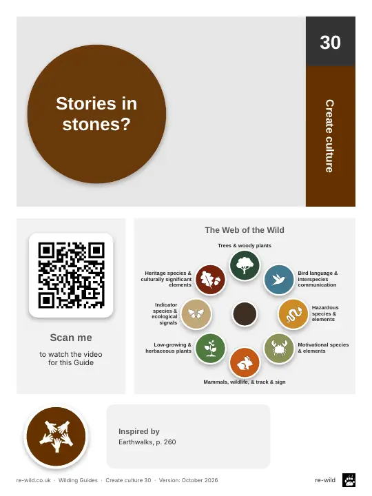 Front of the Stories in stones? activity guide
