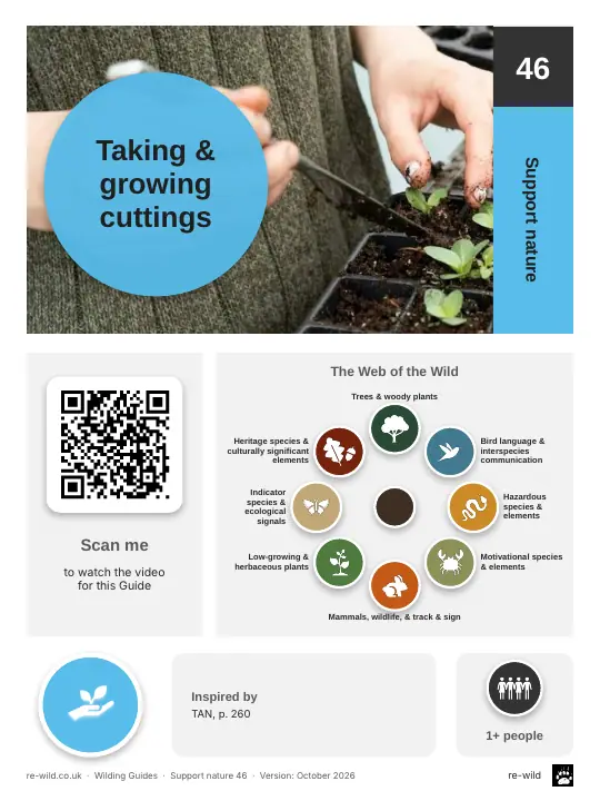 Front of the Taking & growing cuttings activity guide