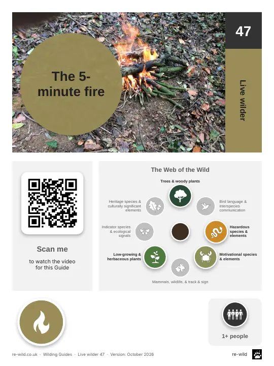 Front of the The 5-minute fire activity guide