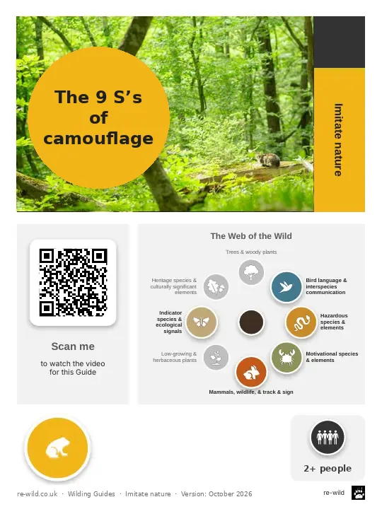 Front of the The 9 S’s of camouflage activity guide