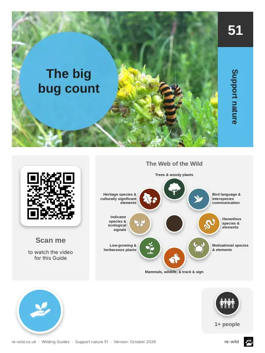 Front of the The big bug count activity guide
