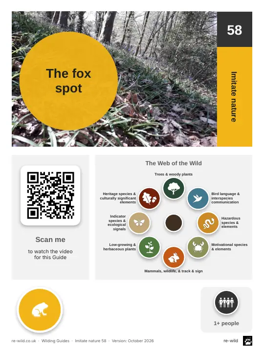 Front of the The fox spot activity guide