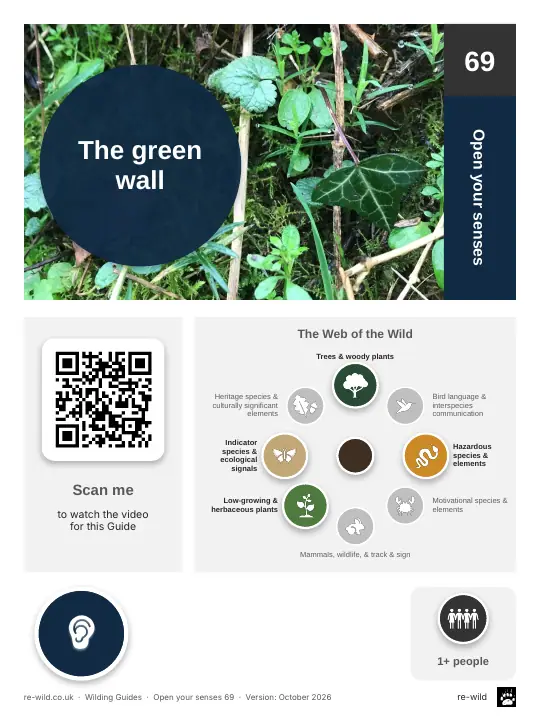 Front of the The green wall activity guide