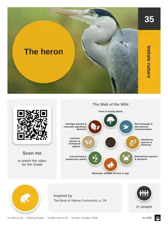 Front of the The heron activity guide
