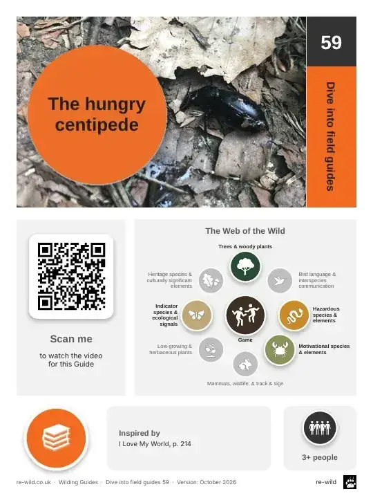 Front of the The hungry centipede activity guide