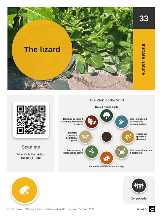Front of the The lizard activity guide
