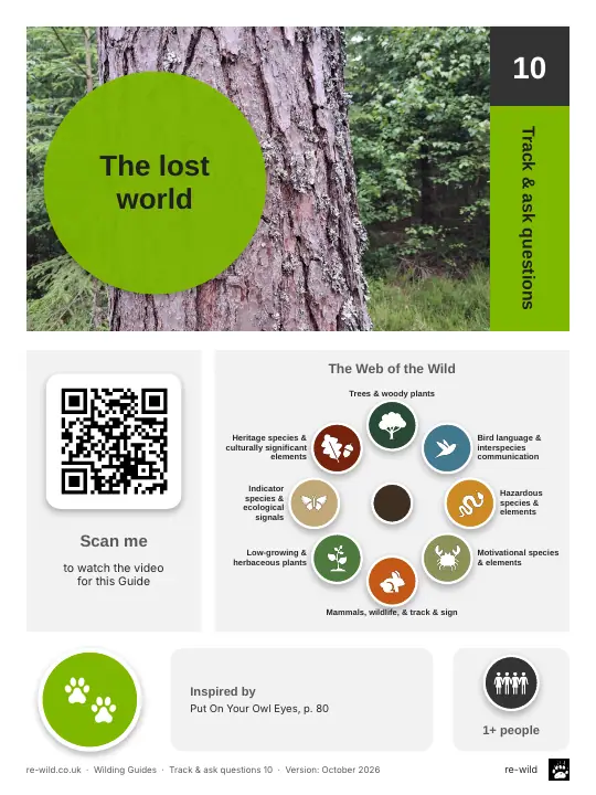 Front of the The lost world activity guide