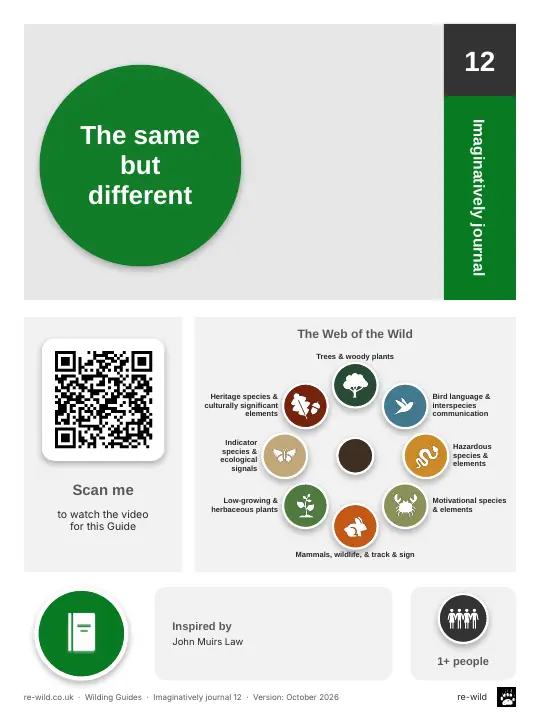 Front of the The same but different activity guide