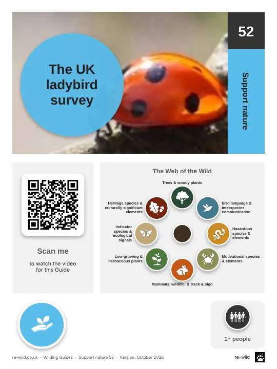 Front of the The UK ladybird survey activity guide