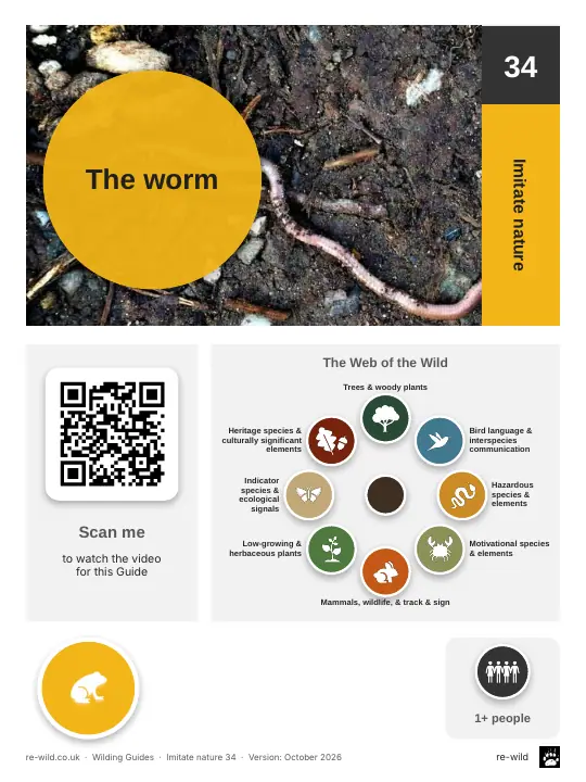 Front of the The worm activity guide