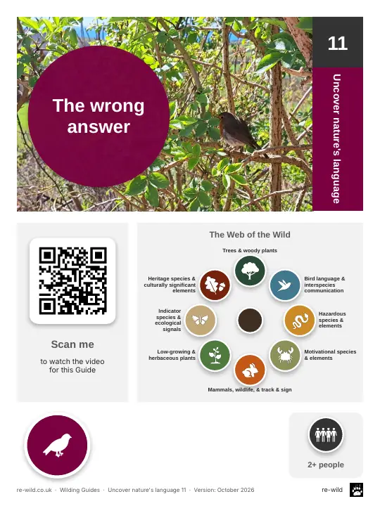 Front of the The wrong answer activity guide