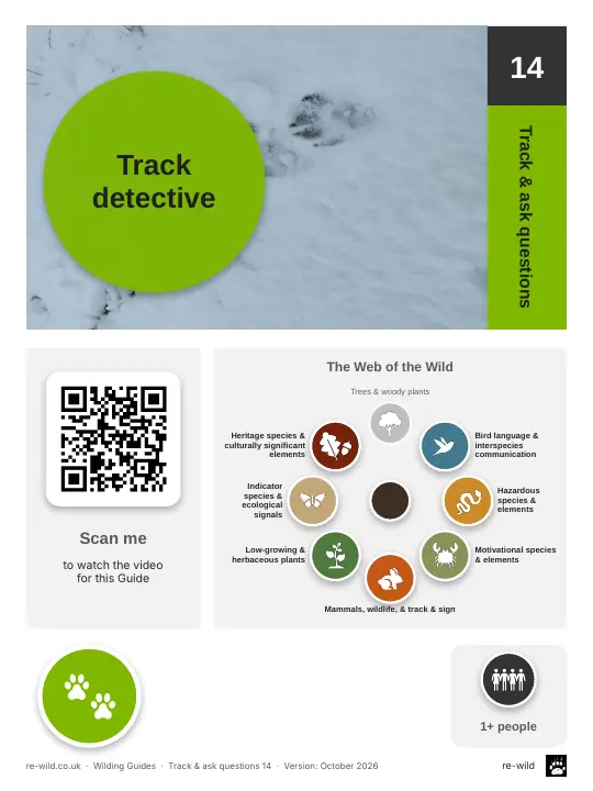 Front of the Track detective activity guide