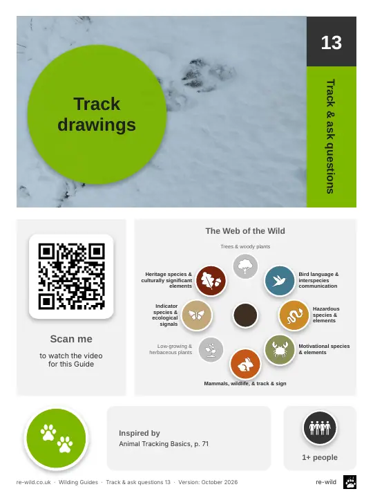 Front of the Track drawings activity guide