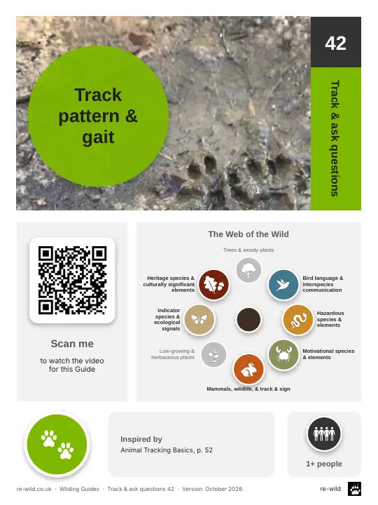 Front of the Track pattern & gait activity guide