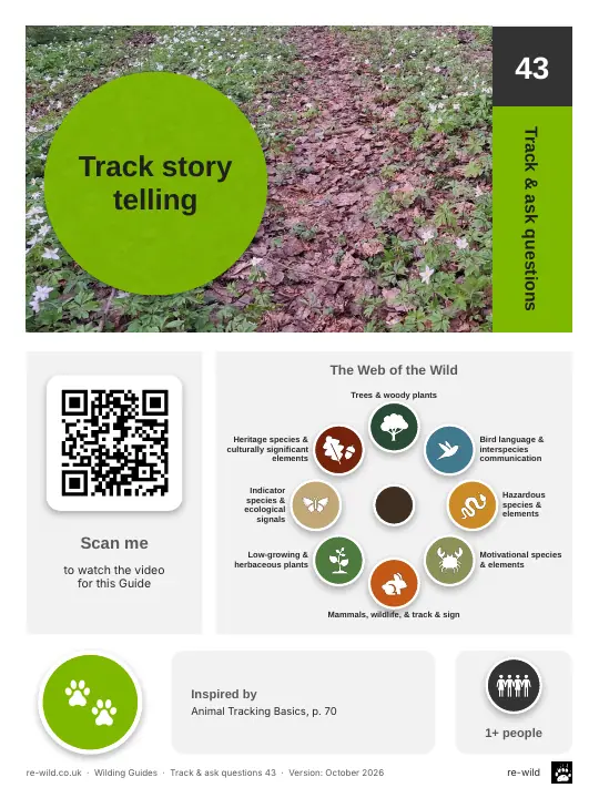 Front of the Track story telling activity guide
