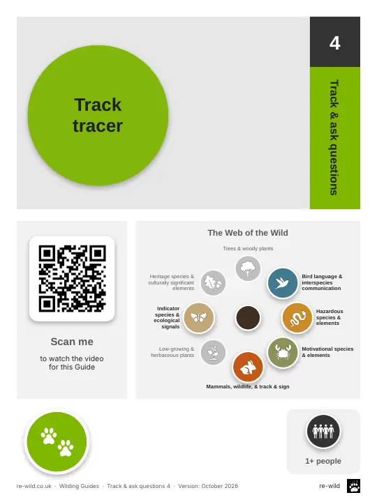Front of the Track tracer activity guide