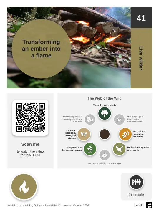 Front of the Transforming an ember into a flame activity guide