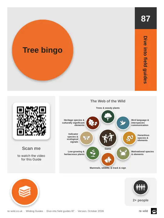 Front of the Tree bingo activity guide