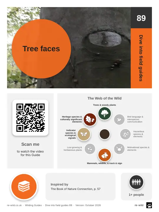 Front of the Tree faces activity guide