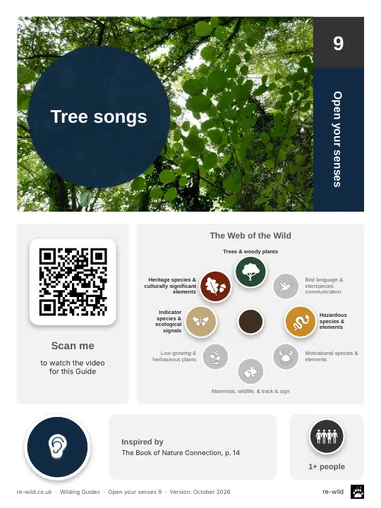 Front of the Tree songs activity guide