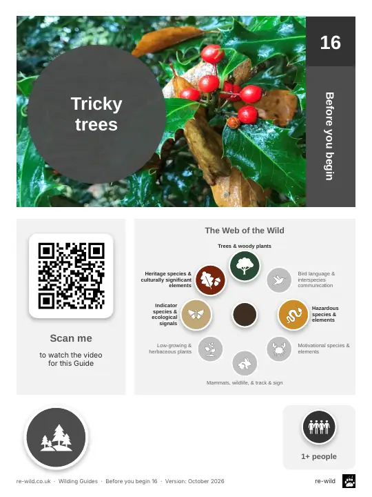 Front of the Tricky trees activity guide