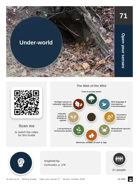 Front of the Under-world activity guide