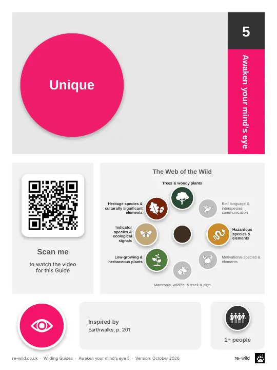 Front of the Unique activity guide