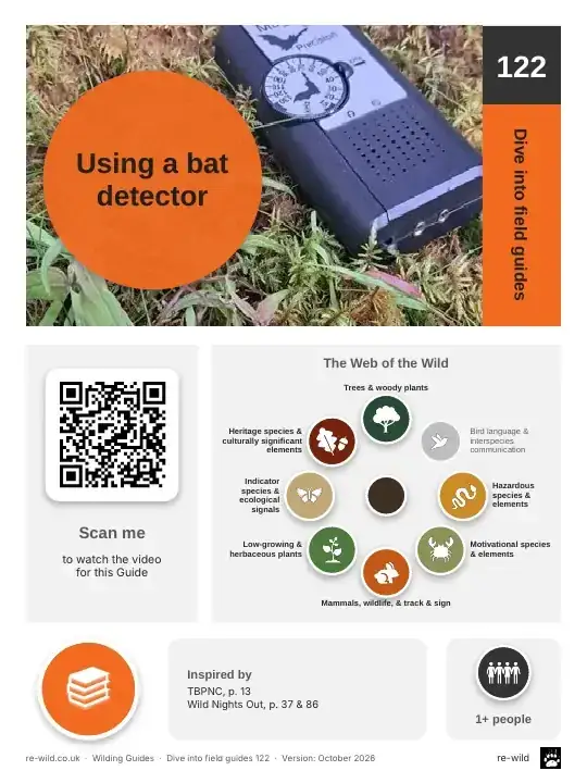 Front of the Using a bat detector activity guide