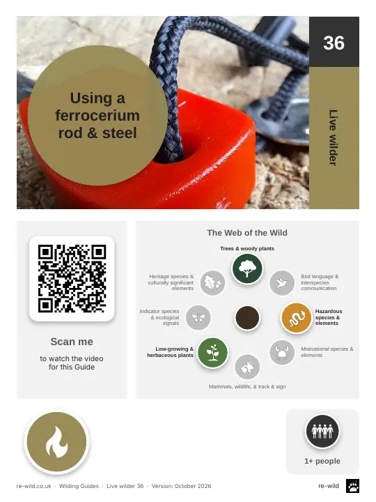 Front of the Using a ferrocerium rod & steel activity guide