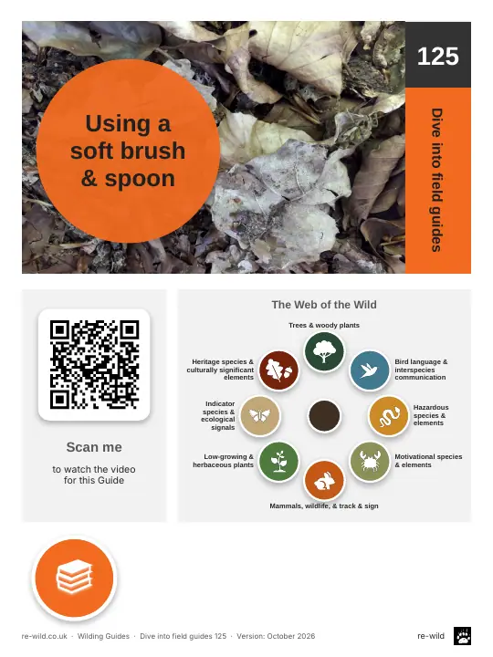 Front of the Using a soft brush & spoon activity guide