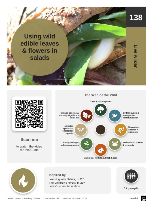 Front of the Using wild edible leaves & flowers in salads activity guide