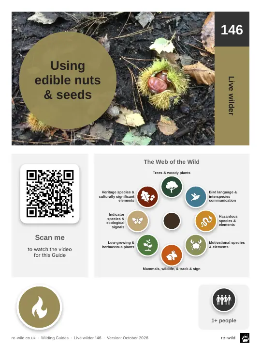 Front of the Using edible nuts & seeds activity guide