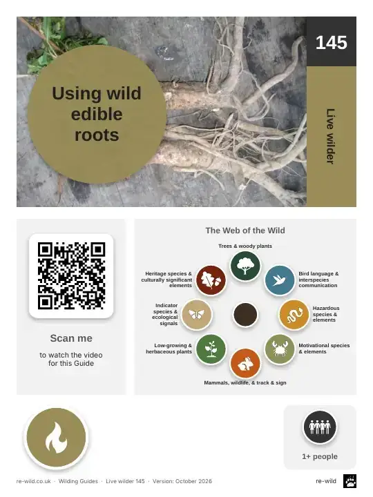 Front of the Using wild edible roots activity guide