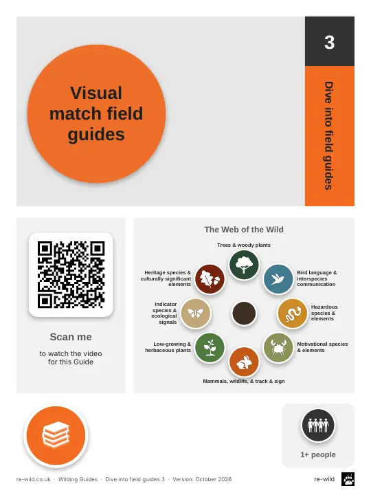 Front of the Visual match field guides activity guide