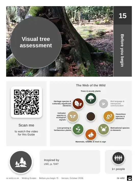 Front of the Visual tree assessment activity guide