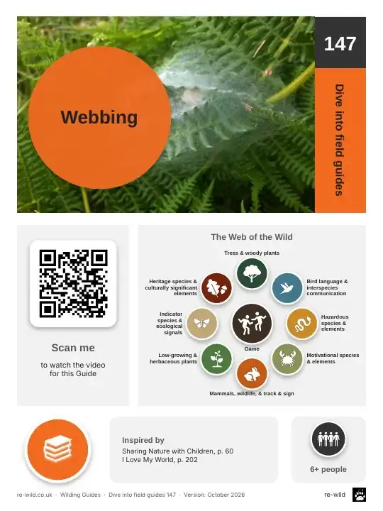Front of the Webbing activity guide