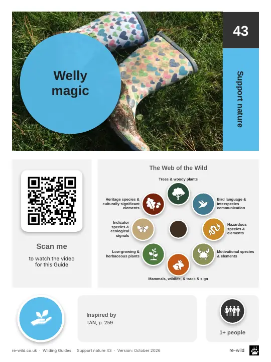 Front of the Welly magic activity guide
