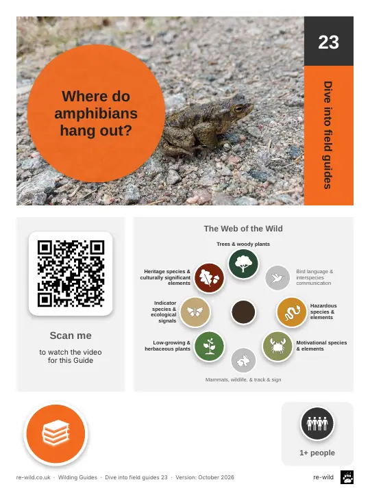 Front of the Where do amphibians hang out? activity guide
