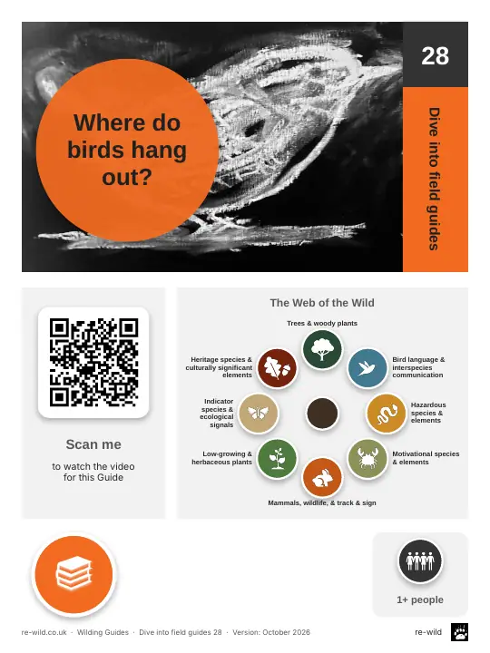 Front of the Where do birds hang out? activity guide